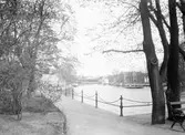 Strandpromenaden vid hamnen, 1930-tal