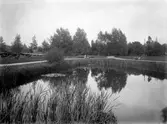 Väståparken, 1930-tal