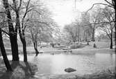 Damm i Stadsparken, 1940-tal