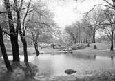 Damm i Stadsparken, 1940-tal