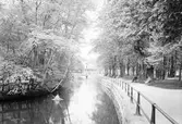 Slottsparken från Engelbrektsgatan 1940-tal