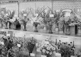 Utställning av blommor, 1942