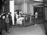 Skyltfönster till Klaessons möbler, 1939
