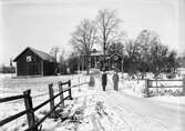 Lotterivinnare, 1947