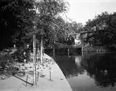 Duvor i Slottsparken, 1940-tal