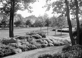 Gångstig i Sveaparken, 1930-tal