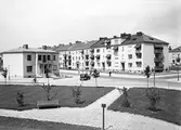 Sveaparken, 1940-tal