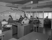 Kontor på AB Godvill, 1950