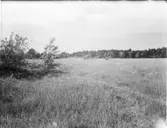 NYTT MARKOMRÅDE FÖRE BEBYGGELSEN AV ÖSTBERGA