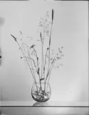 ANNONSBILD FÖR VILH ANDERSSONS ANNONSBYRÅ