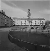 BOSTADSBYGGE I ÅNGE ÖSTERSUND