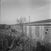 BYGGNADSOBJEKT I NORRLAND