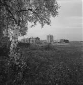 BYGGNADSOBJEKT I NORRLAND