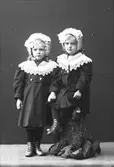 Systrar framför kameran, 1909