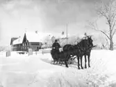 Häst med släde, 1915