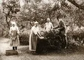Vinbärsplockning, 1920