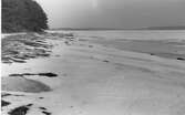 Stranden vid Klockaregården, Onsala, sett in mot Kungsbackafjorden. Vinterbild med snö och is.