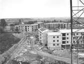 Baronbackarna under byggnation, 1950-tal