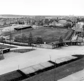 Vy över Eyravallen, 1969