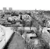 Vy mot väster, 1969