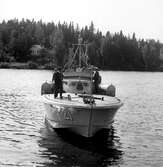 Motortorpedbåt T21, 1944