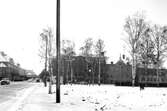 Skolgatan mot söder, 1950-tal