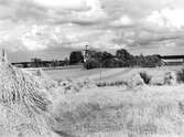 Vintrosa kyrka, 1950-tal