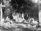 Picknick i gräset, 1920-tal