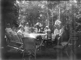 Kaffekalas i skogen, 1920-tal