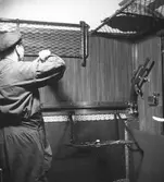 Montering av lastgaller, 1902-1909