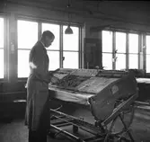 En soffa stoppas på tapetseriavdelningen i vagnverkstaden, 1902-1909