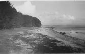 Strandvy, stranden nedanför Klockaregården, Onsala. Vy in mot Kungsbackafjorden.