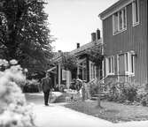 Gårdsinteriör kvarteret Pelikanen, 1960-tal