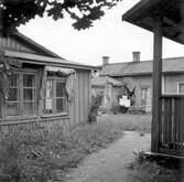 Gårdsbild, 1960-tal