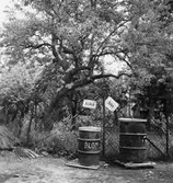 Gårdsbild, 1960-tal