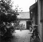 Gårdsbild, 1960-tal