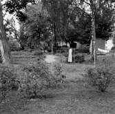 Gårdsbild sedd från Strandparken, 1960-tal