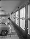 DÖRRAR VID BRANDSTATION I SUNDSVALL