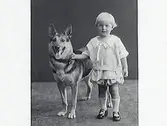 Barnporträtt, ett litet barn står och håller en schäferhund i halsbandet. Landsfiskal Herlog beställde bilderna och är troligen barnets far.