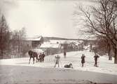 Skidåkning vid Karlslunds gård, 1900