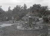 Del av trädgården på Karlslunds gård, 1890-tal