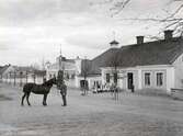 Man med häst på Karlslunds gård, 1890-tal