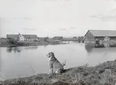 Bron vid Snavlunda på Karlslunds gård, 1890-tal