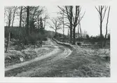 Vägen från gården 