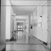 CENTRALSKOLA & GYMNASIUM I KALIX
EXT. OCH INT.