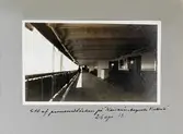 Ett av promenaddäcken ombord på Kaiserin Auguste Victoria, 1913-04-26