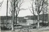 Vy över Sagereds gård taget vid vägen till gården från Streteredsvägen år 1957.