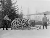 Kälke lastad med ved