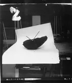 Konstverk,  Koordinat.