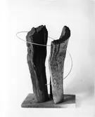 Konstverk,   Två trä med ring.